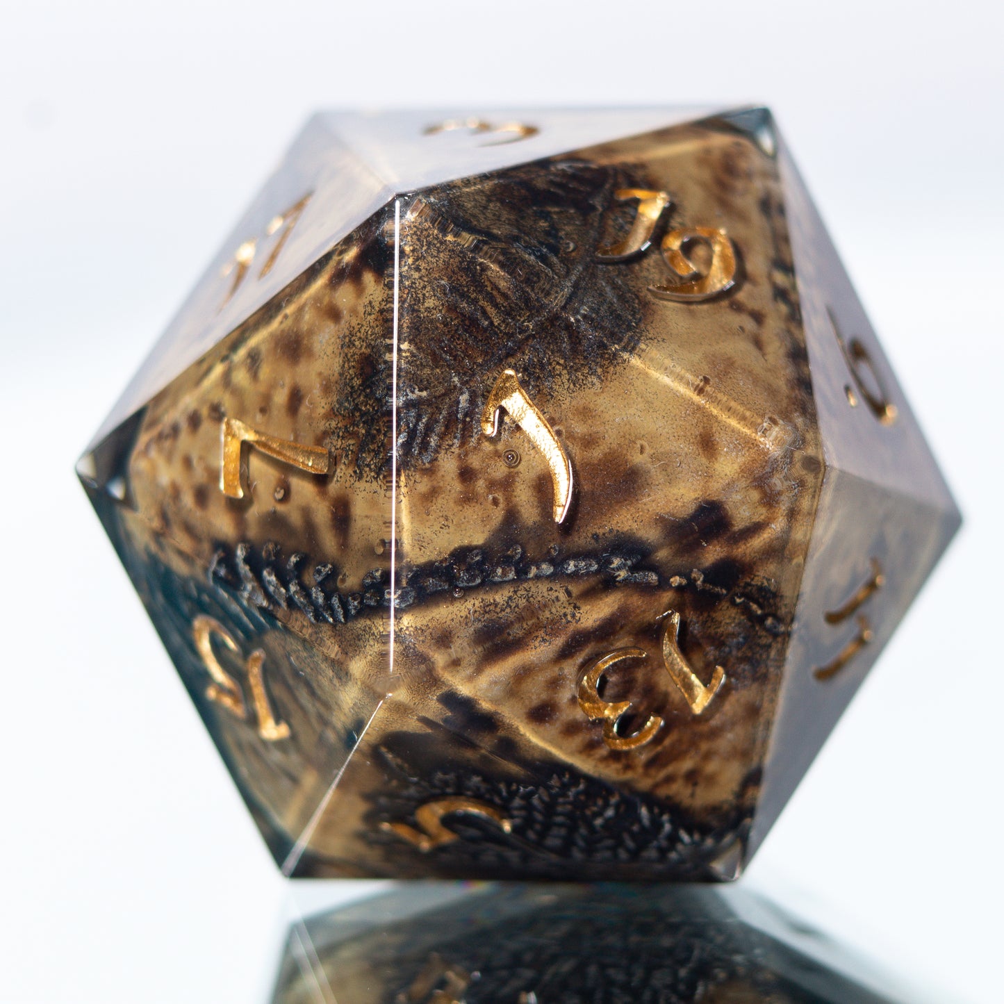 Fossils - Handmade Chonk Resin D20