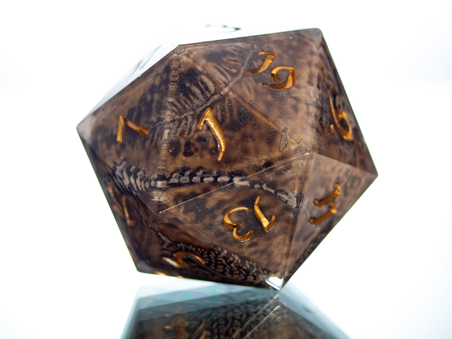 Fossils - Handmade Chonk Resin D20