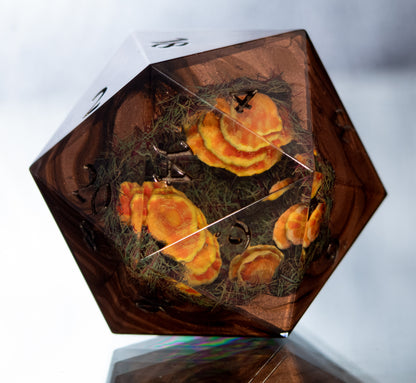 Chicken of the Woods - Handmade Chonk D20