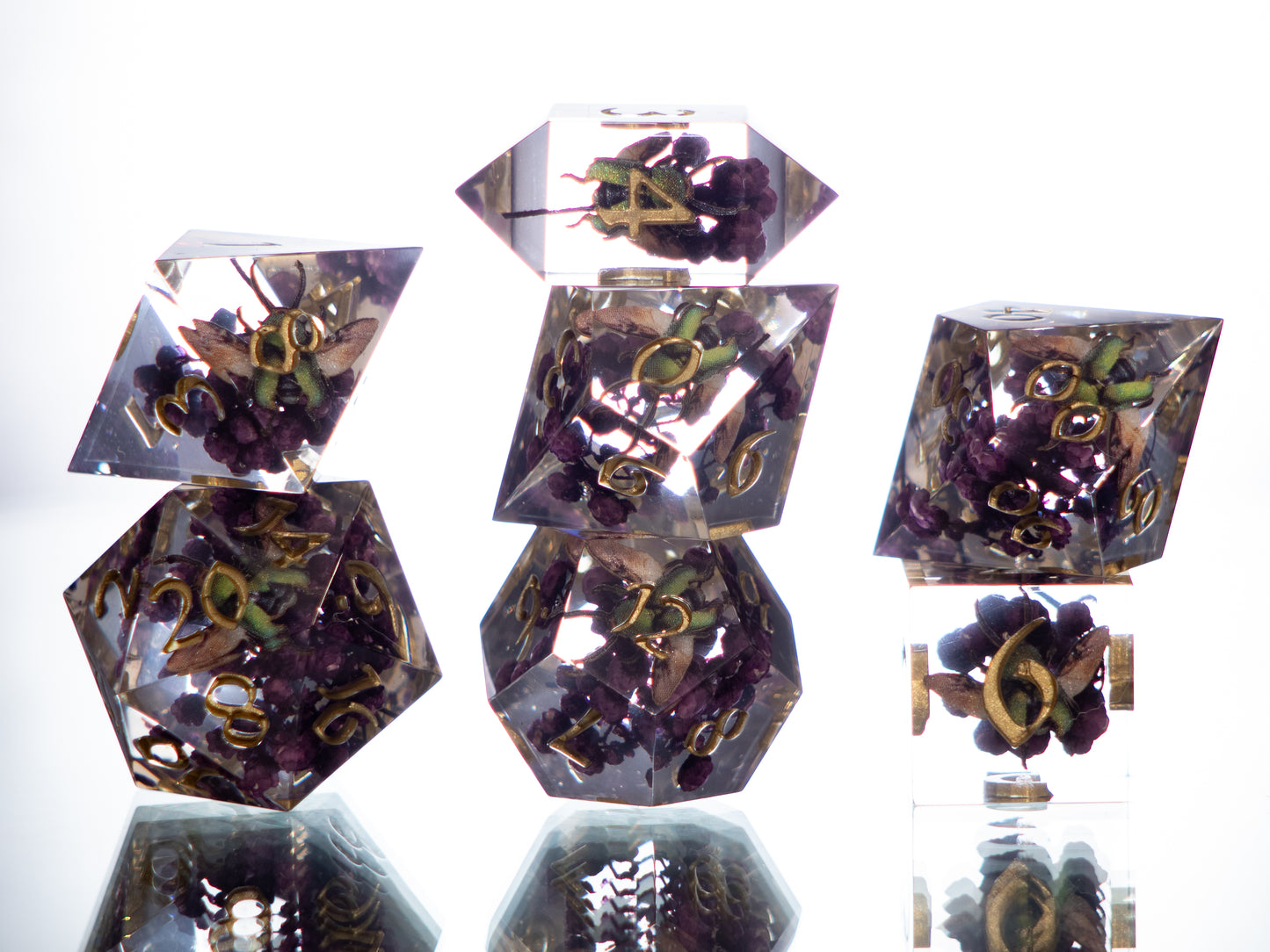 Beetle Specimens - 7 Piece Handmade Resin Dice