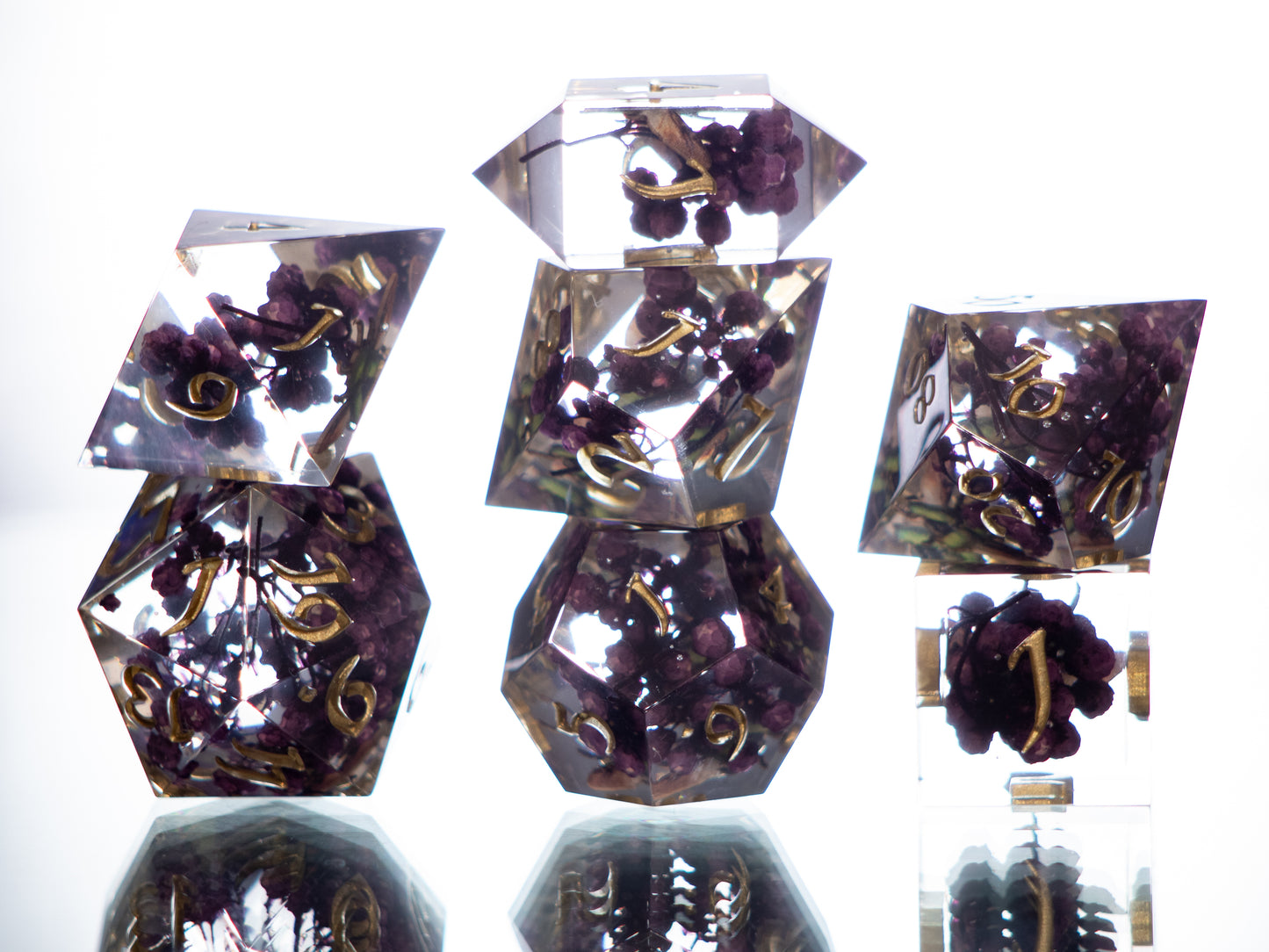 Beetle Specimens - 7 Piece Handmade Resin Dice