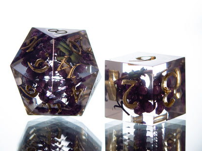 Beetle Specimens - 7 Piece Handmade Resin Dice