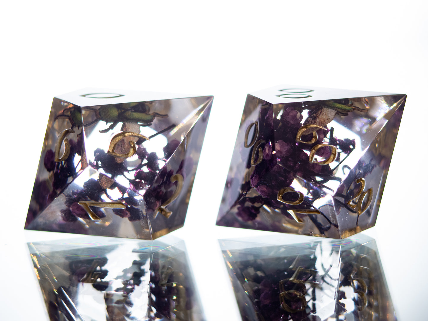 Beetle Specimens - 7 Piece Handmade Resin Dice