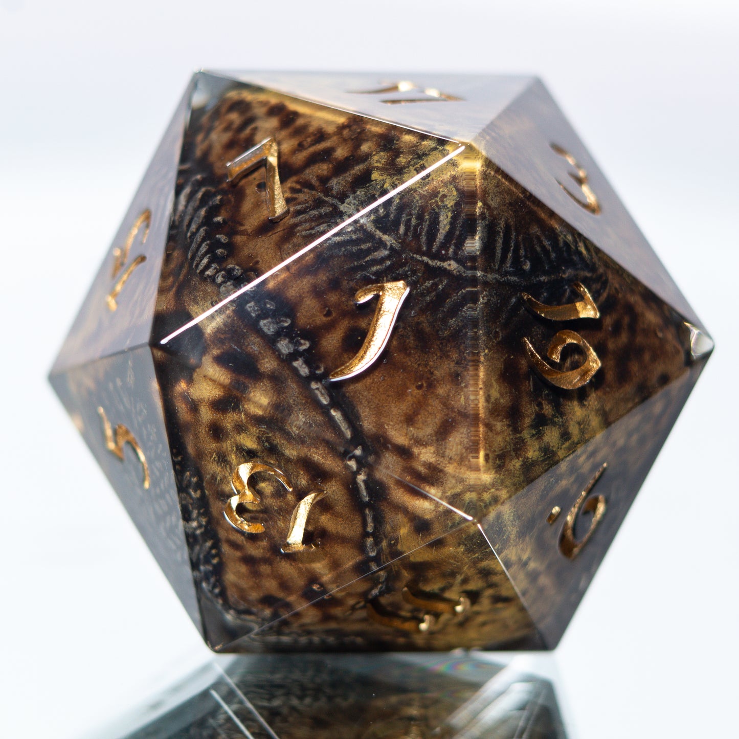 Fossils - Handmade Chonk Resin D20
