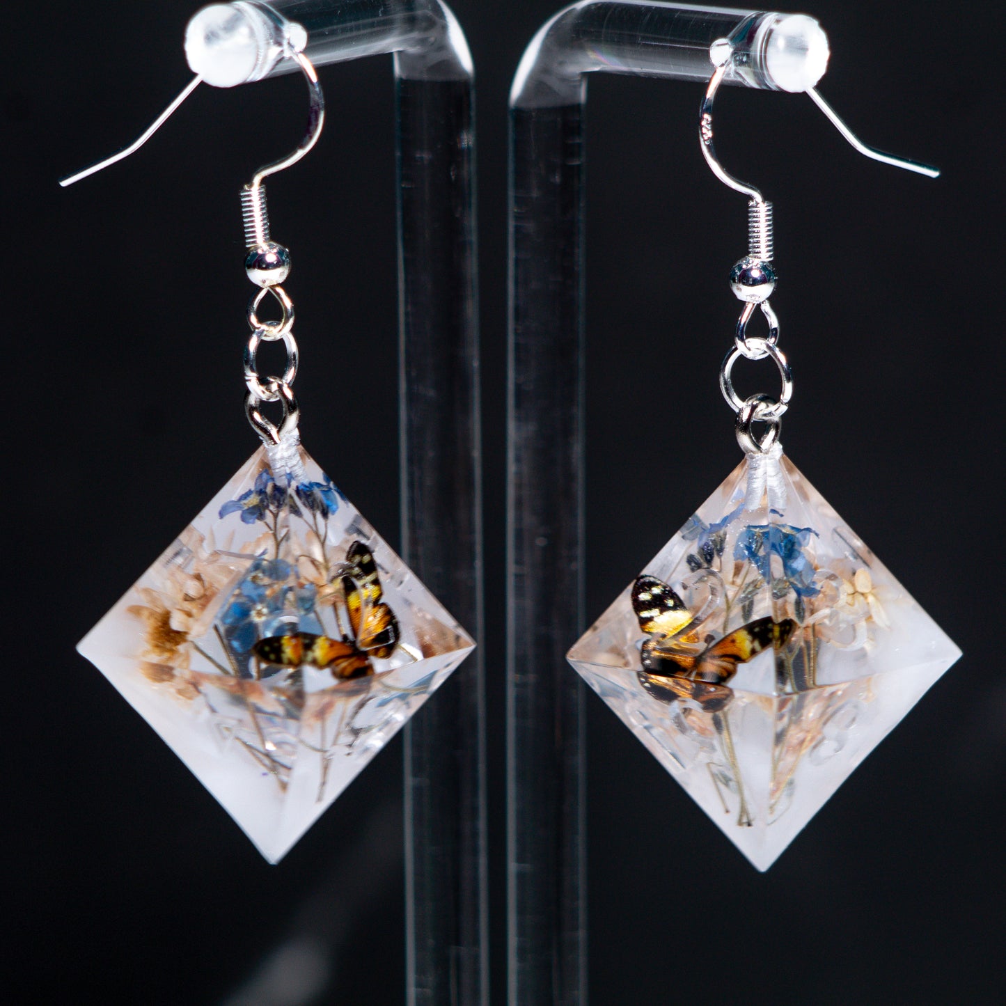 Butterfly Terrarium D8 Earrings