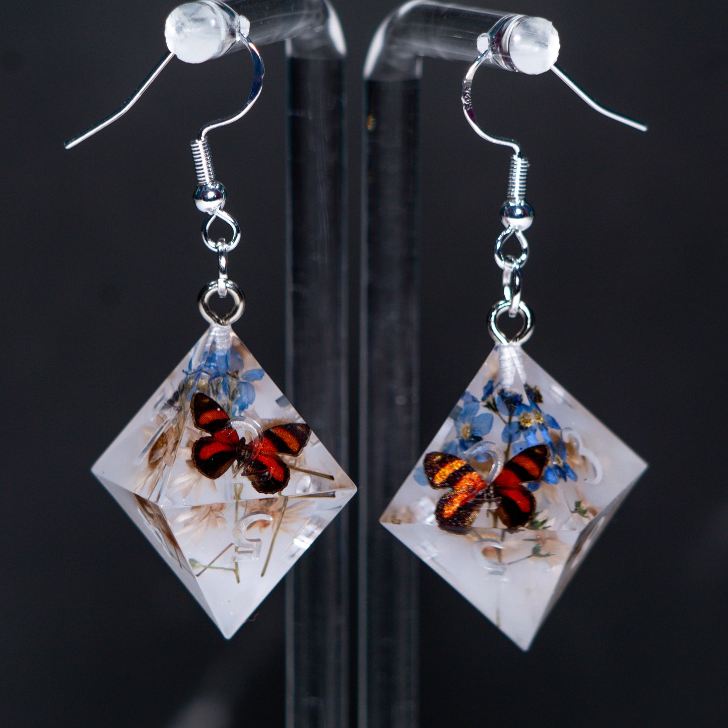 Butterfly Terrarium D8 Earrings