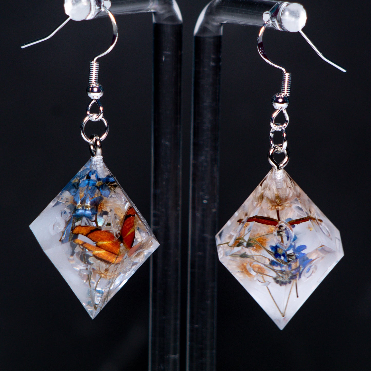 Butterfly Terrarium D10 Earrings