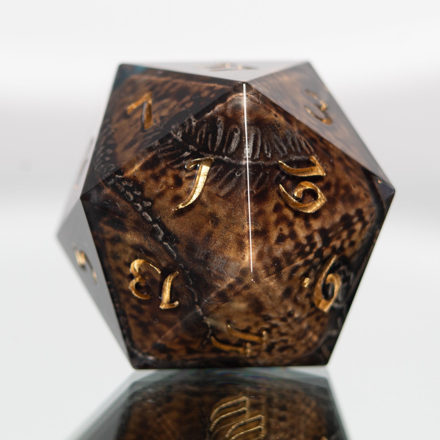 Fossils - Handmade Chonk Resin D20