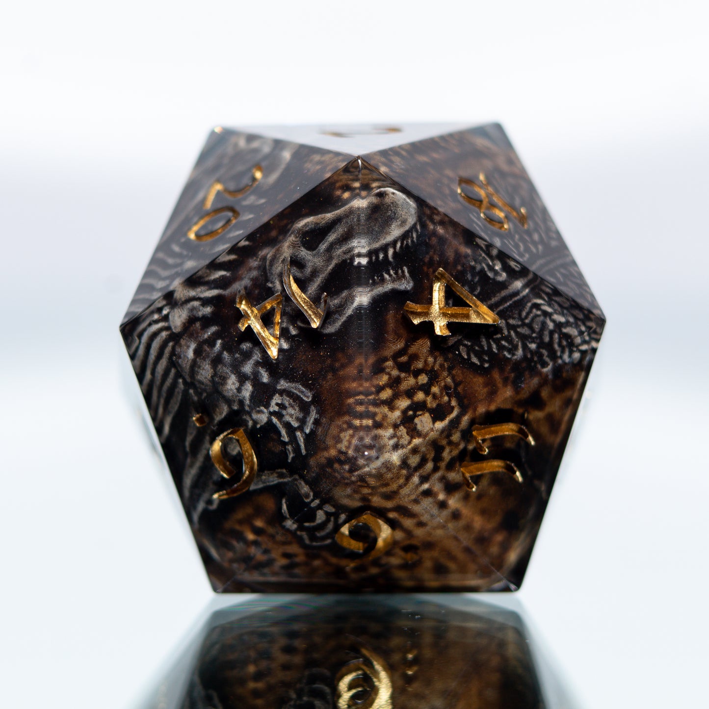 Fossils - Handmade Chonk Resin D20