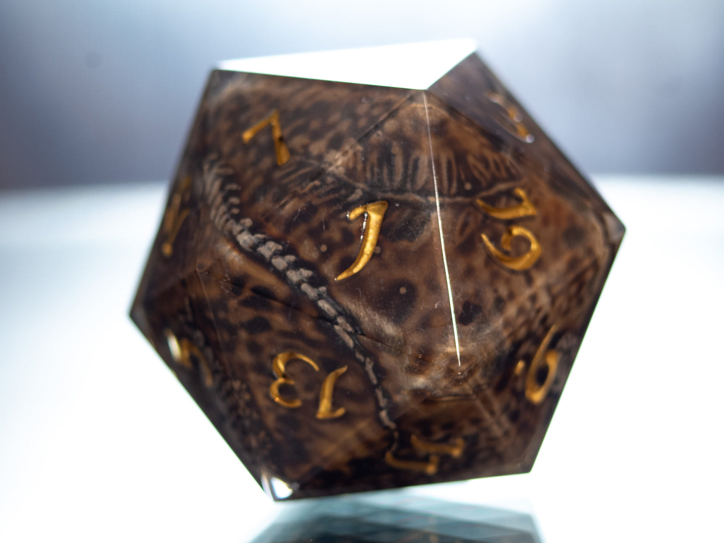 Fossils - Handmade Chonk Resin D20