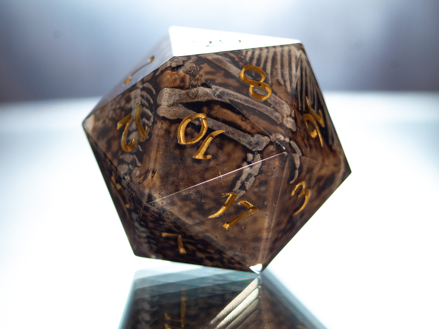 Fossils - Handmade Chonk Resin D20