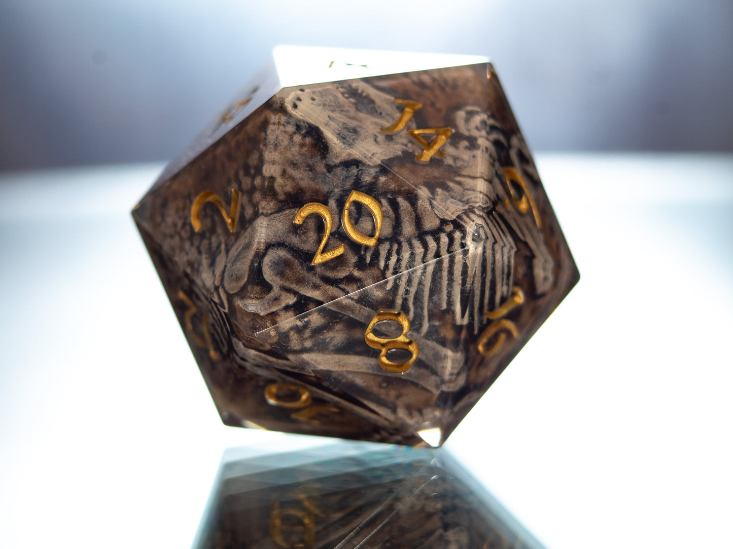 Fossils - Handmade Chonk Resin D20