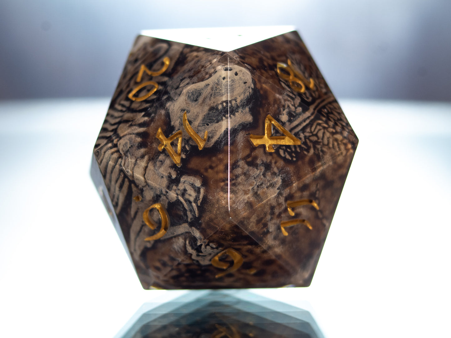 Fossils - Handmade Chonk Resin D20
