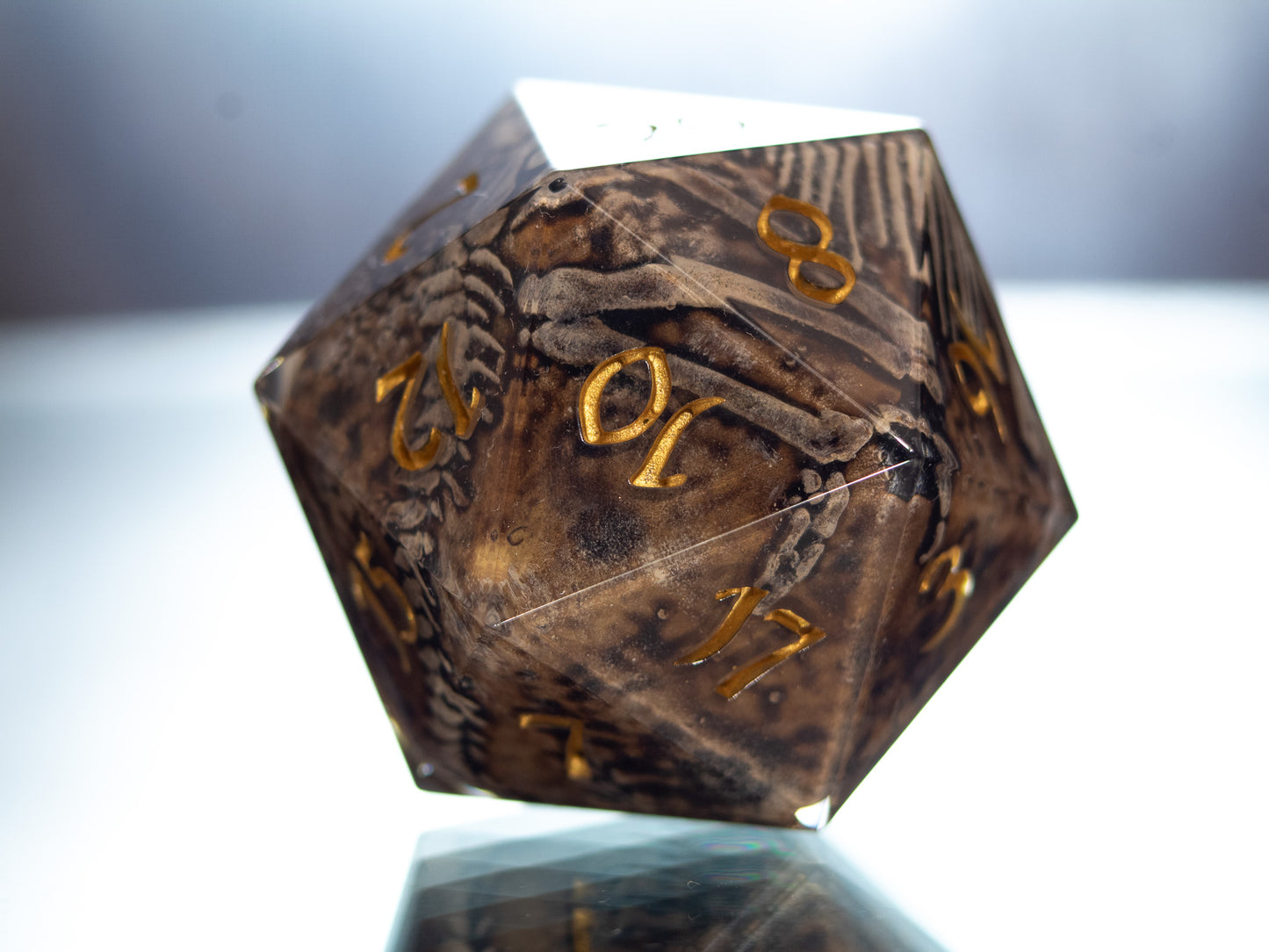 Fossils - Handmade Chonk Resin D20