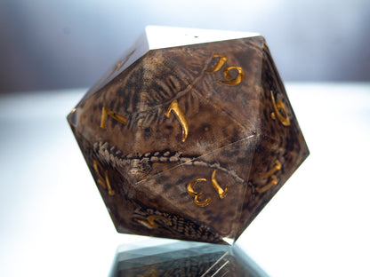 Fossils - Handmade Chonk Resin D20