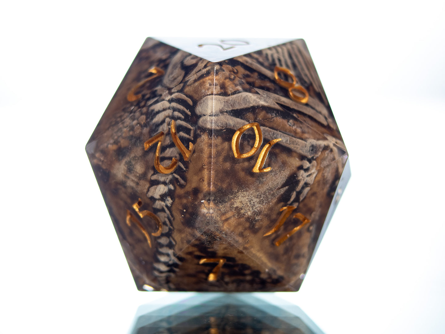 Fossils - Handmade Chonk Resin D20