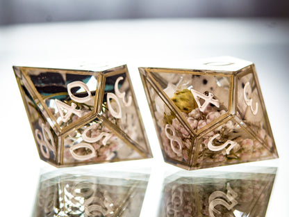 Butterfly Terrarium - 7 Piece Handmade Dice