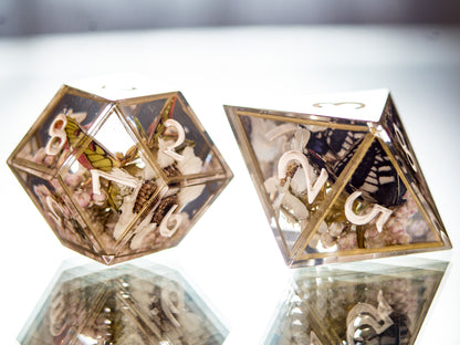 Butterfly Terrarium - 7 Piece Handmade Dice