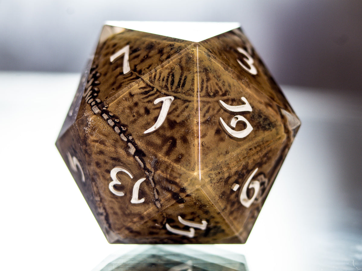 Fossils - Handmade Chonk D20