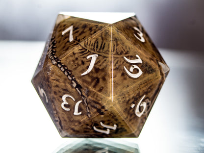 Fossils - Handmade Chonk D20