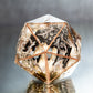 Inky Cap Specimen - Chonk Extra Large D20