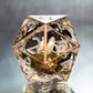 Inky Cap Specimen - Chonk Extra Large D20