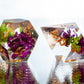 Garden Growth - 7 Piece Handmade Resin Dice