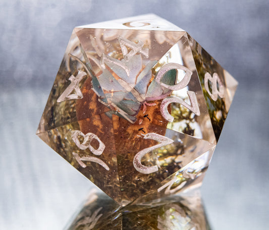 Moths & Myconids  - Chonk Extra Large D20