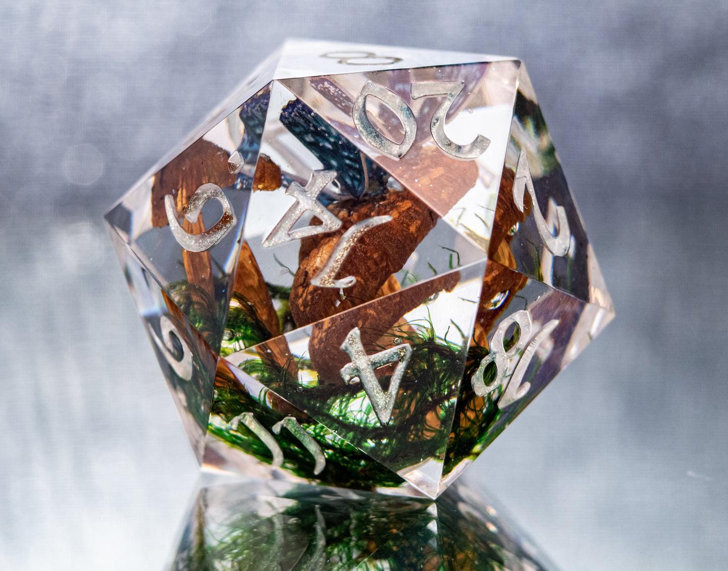Circle of Spores - Chonk Extra Large D20